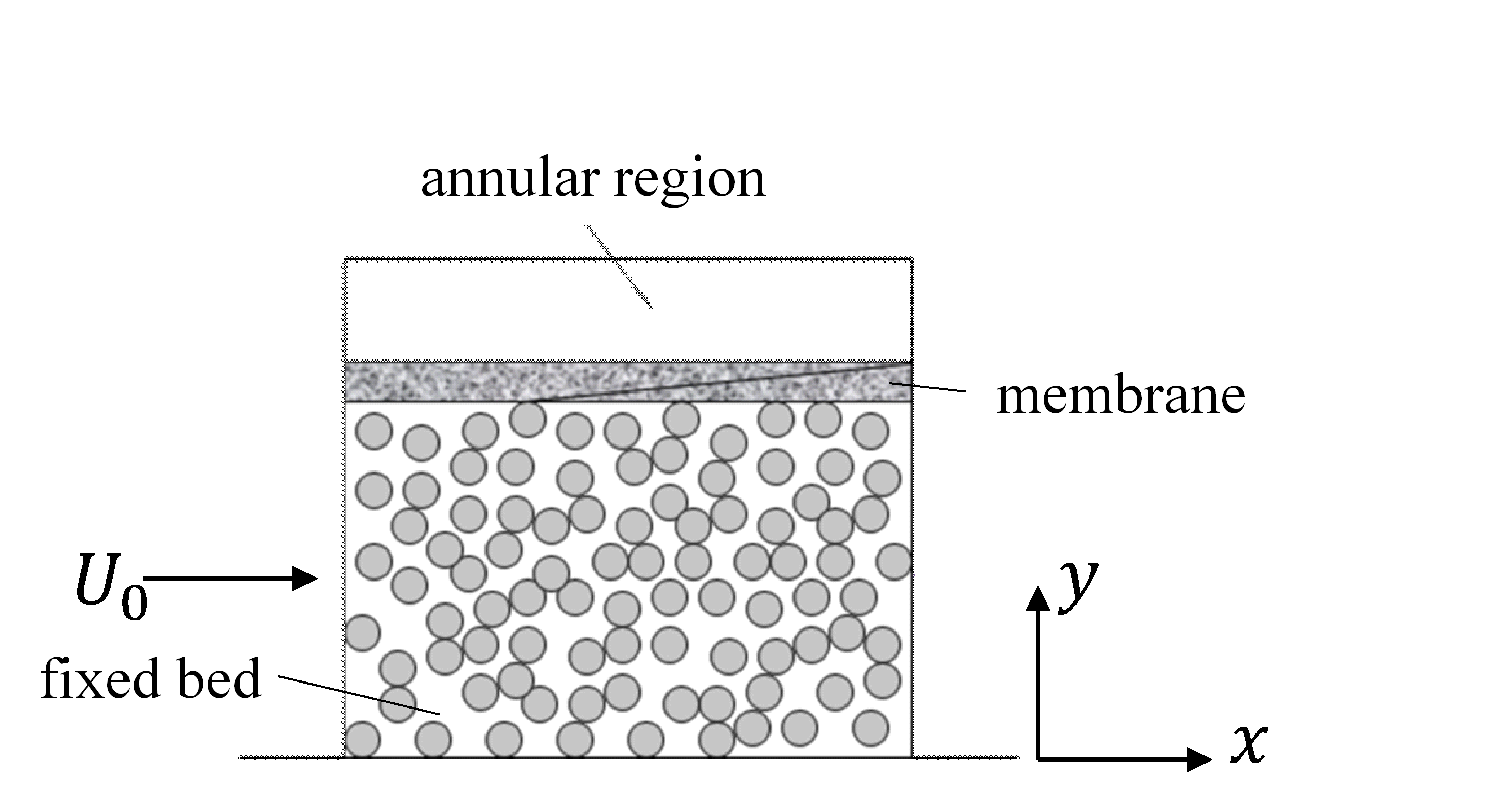 2D membrane fixed bed reactor schematic