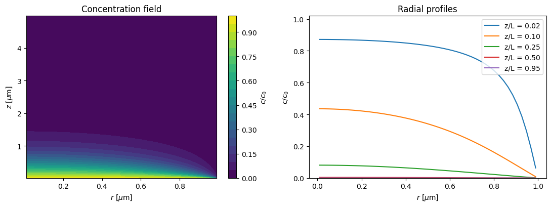 Diffusion-Reaction in a Cylindrical Pore: Reference figure 1 from code block 2